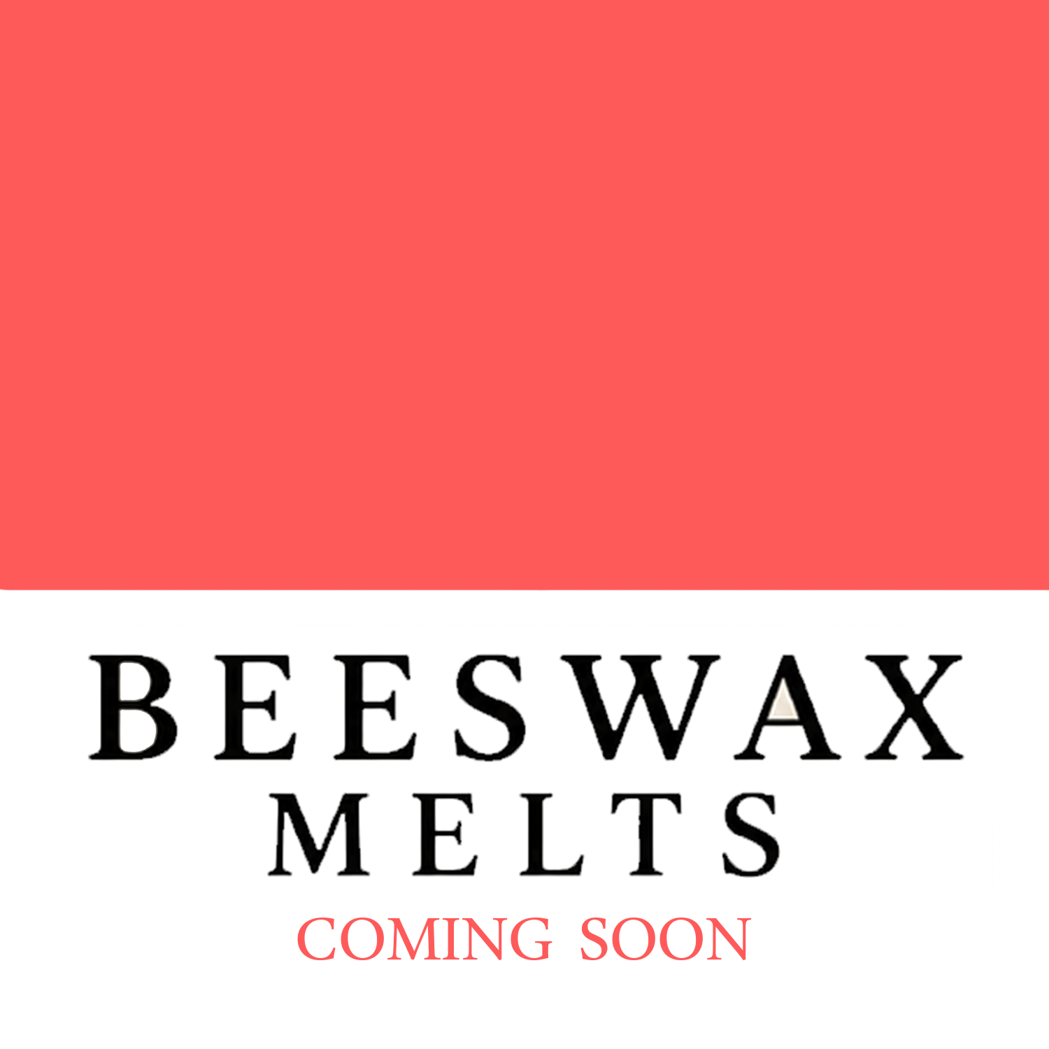 Beeswax Melts