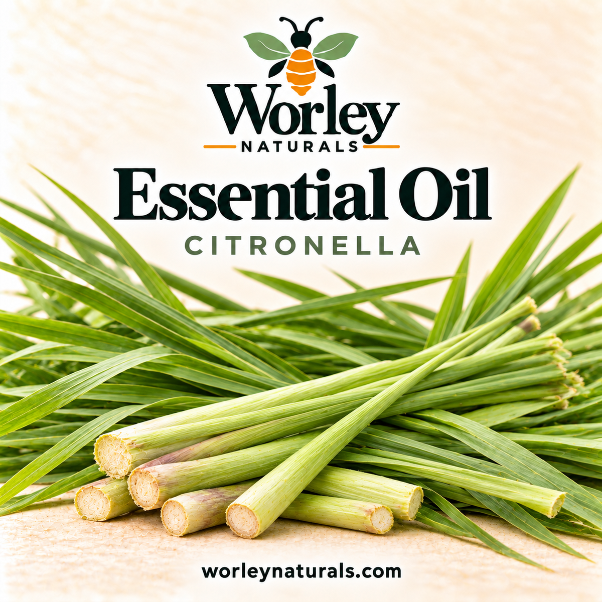 Pure Essential Oil