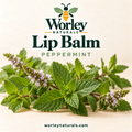 Peppermint Lip Balm
