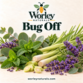 Bug Off Spray