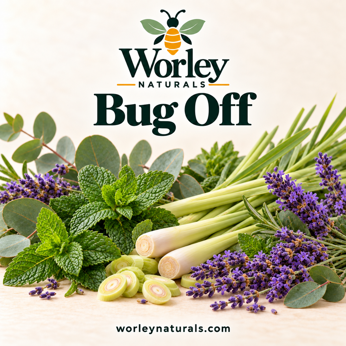 Bug Off Spray